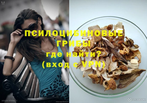 стафф Алзамай