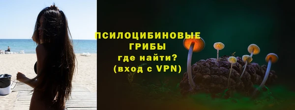 стафф Алзамай