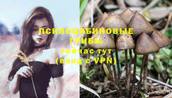 таблы Алексеевка
