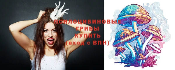 таблы Алексеевка
