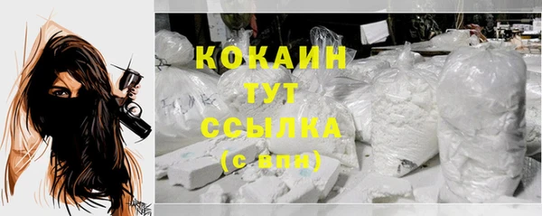 тгк Алексин