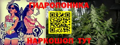 гидропоника Новокубанск
