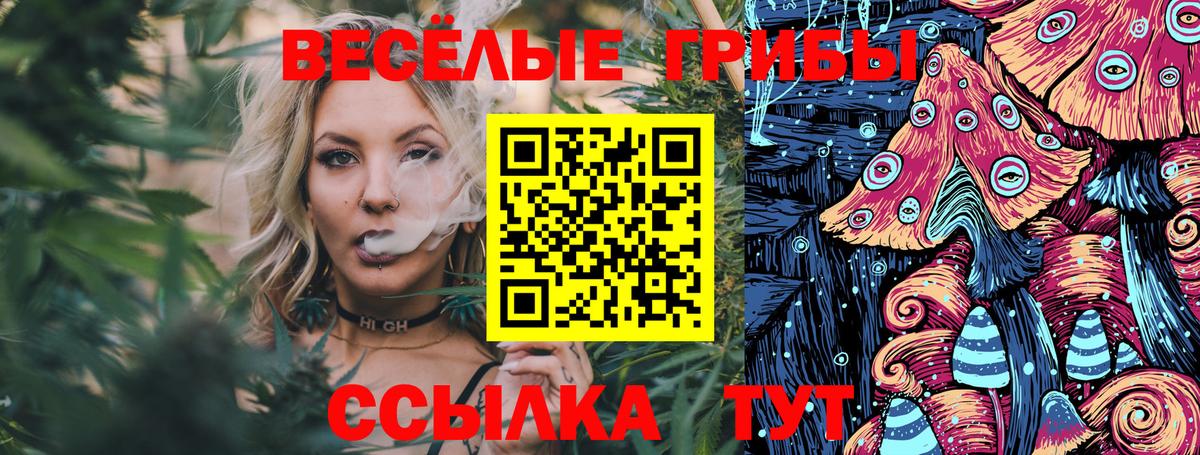 как найти   Галлюциногенные грибы прущие грибы  Псилоцибиновые грибы Psilocybine cubensis  Вход с VPN  Петрозаводск 