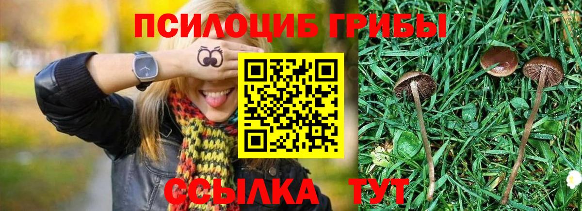 закладка  Галлюциногенные грибы прущие грибы  Вход с VPN  Петрозаводск 