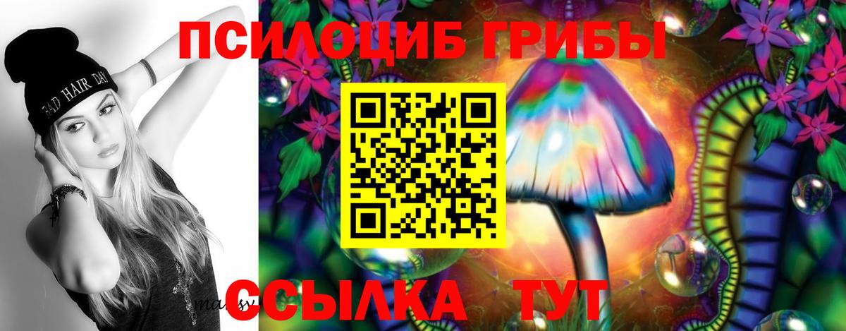 Псилоцибиновые грибы Psilocybine cubensis Петрозаводск