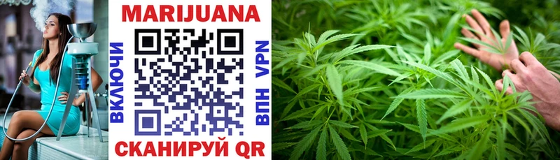 Бошки Шишки VHQ  Петрозаводск 
